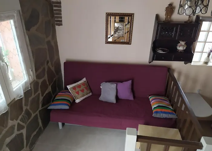 La Palmera De La Insula