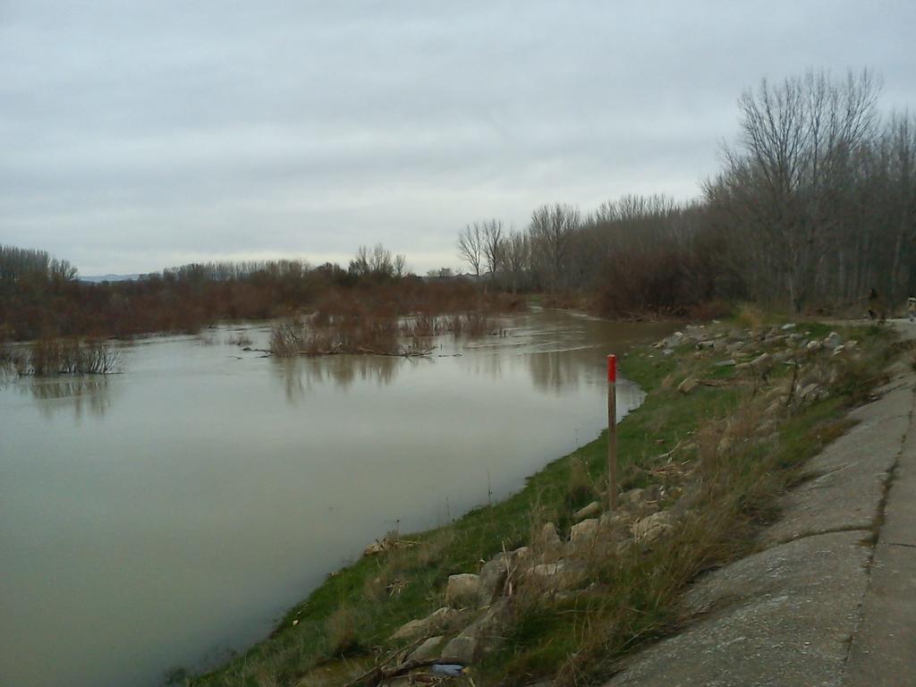 La Palmera De La Insula * Alcala de Ebro