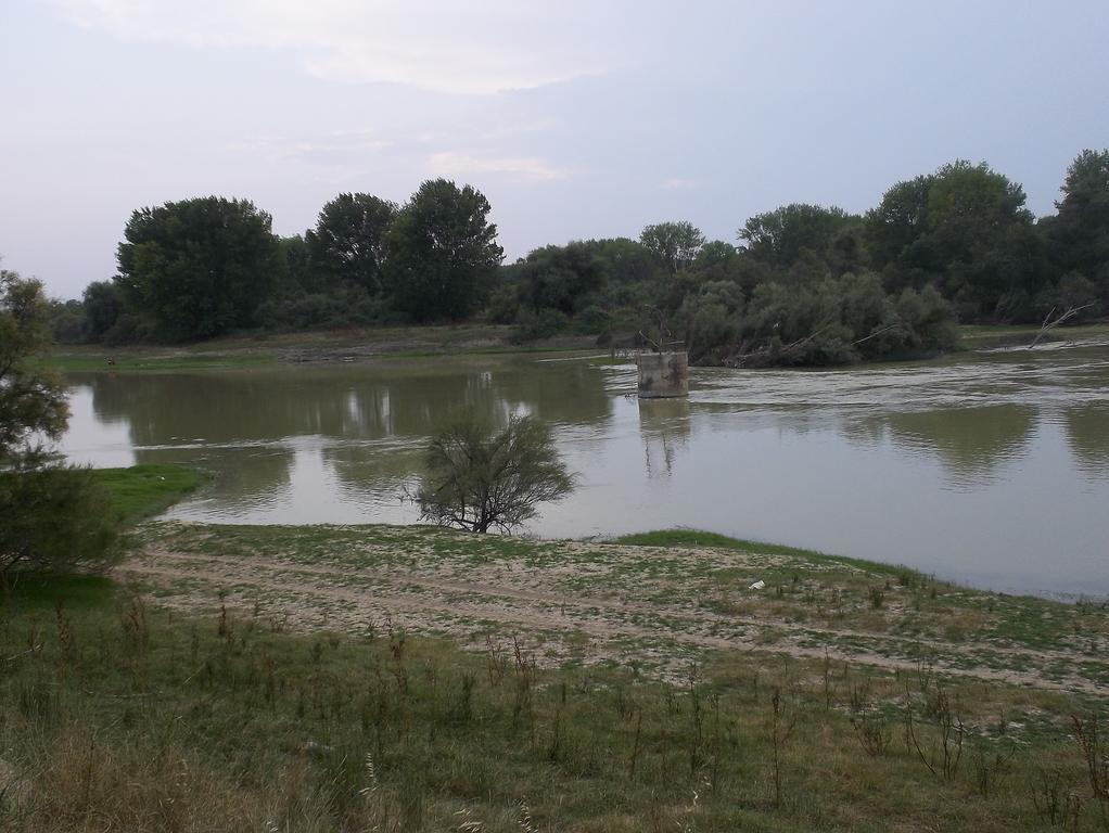 La Palmera De La Insula Alcala de Ebro