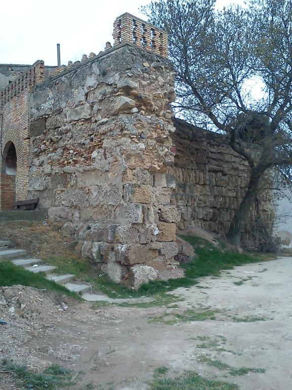 La Palmera De La Insula
