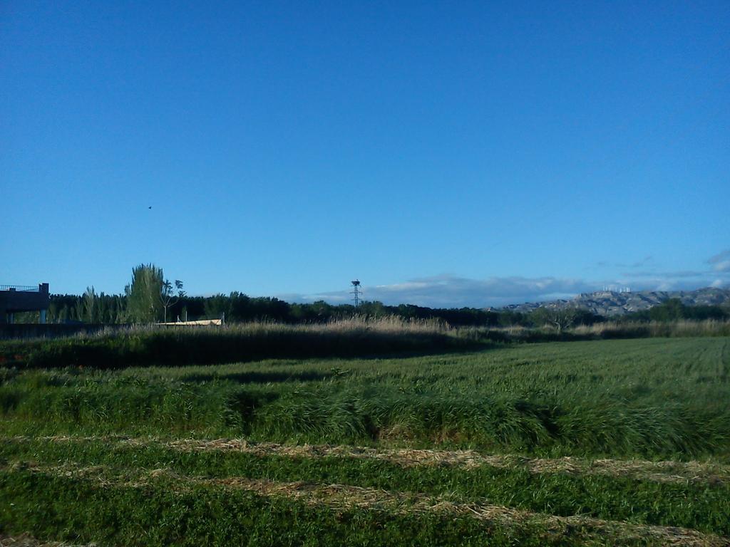 La Palmera De La Insula * Alcala de Ebro